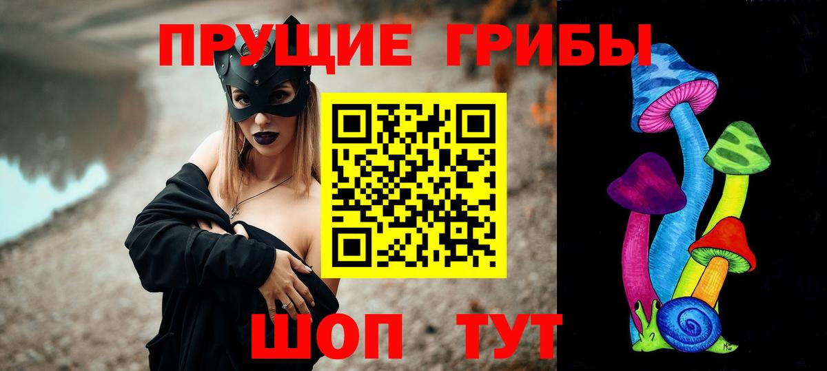 Владивосток  Псилоцибиновые грибы прущие грибы  где найти наркотики  Вход с VPN  Псилоцибиновые грибы Psilocybine cubensis 