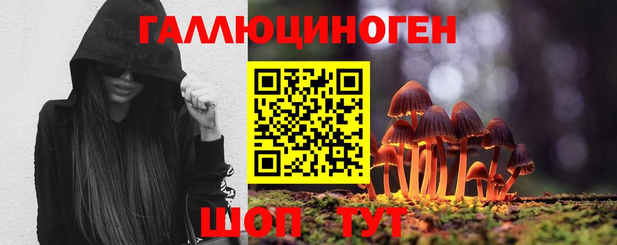 Галлюциногенные грибы ЛСД Владивосток